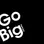 GO BIG Partners
